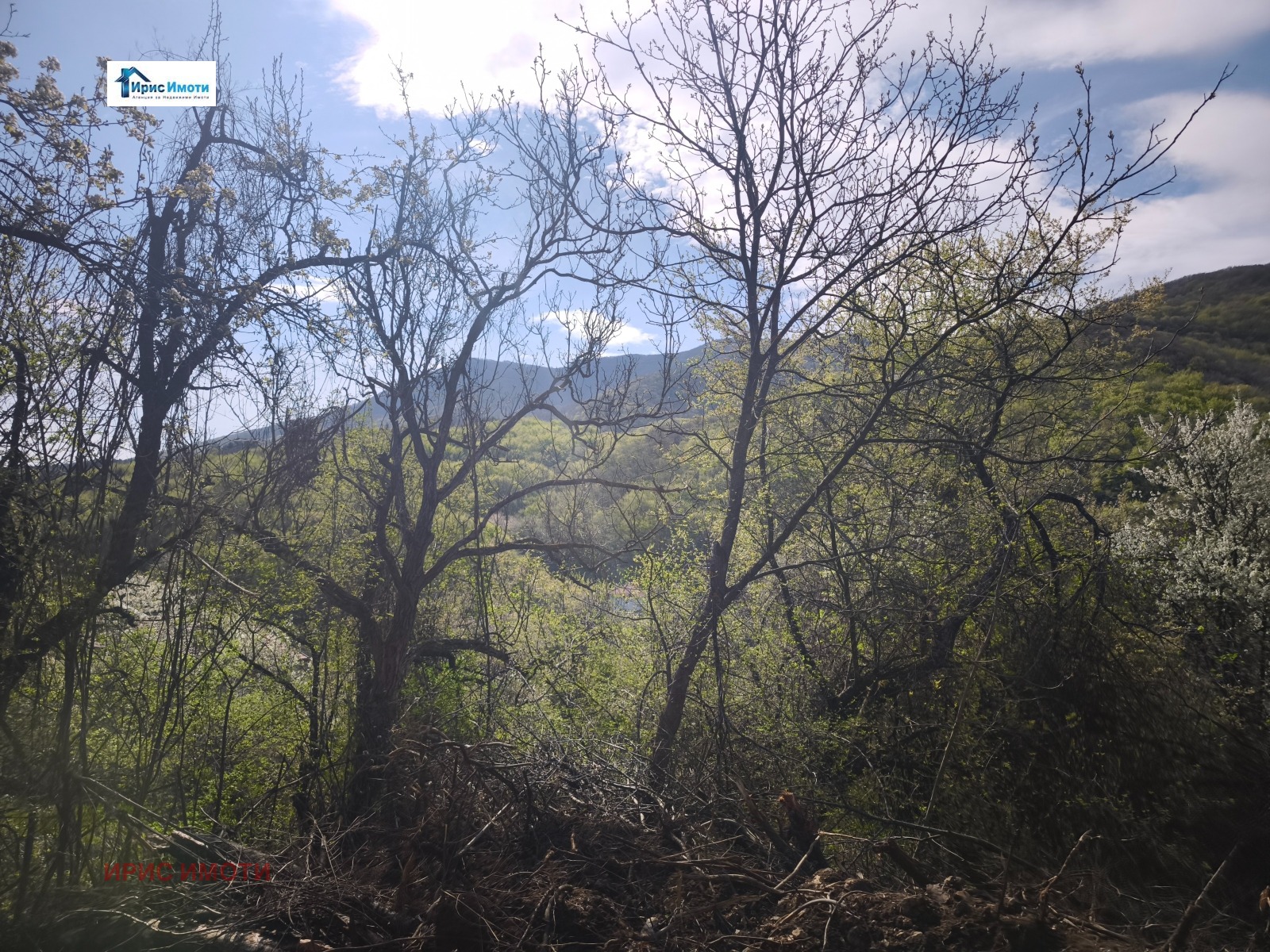 Продава ПАРЦЕЛ, гр. София, Княжево, снимка 3 - Парцели - 54254258