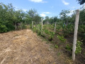 Продава КЪЩА, гр. Полски Тръмбеш, област Велико Търново, снимка 8