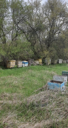 ������� ������ | Imot.bg � ����� ������ 3