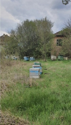 ����� ������� ������,�. �������, ������ �����