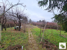 Trama Buzludja, Veliko Tarnovo 2