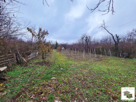 Cselekmény Buzludzsa, Veliko Tarnovo 4