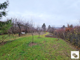 Trama Buzludja, Veliko Tarnovo 1