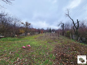 Cselekmény Buzludzsa, Veliko Tarnovo 5