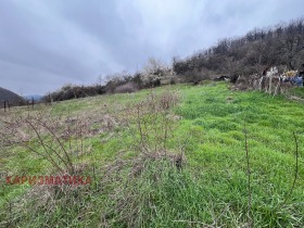 ����� ������� ������,��. ���� �����, ������ �����