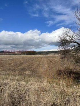 ������� ������ | Imot.bg � ����� ������ 8