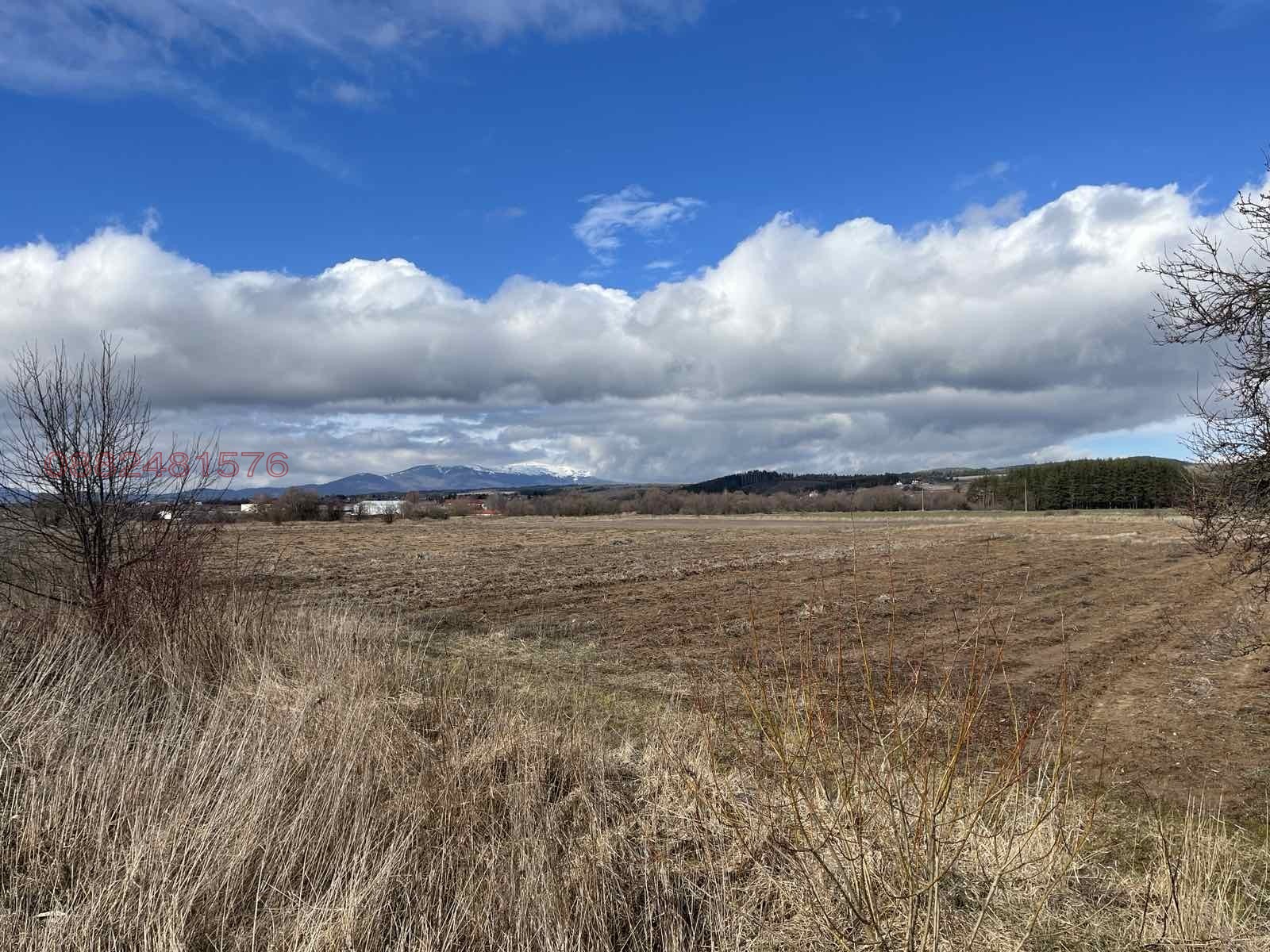 Продава ПАРЦЕЛ, с. Алино, област София област, снимка 3 - Парцели - 53685395