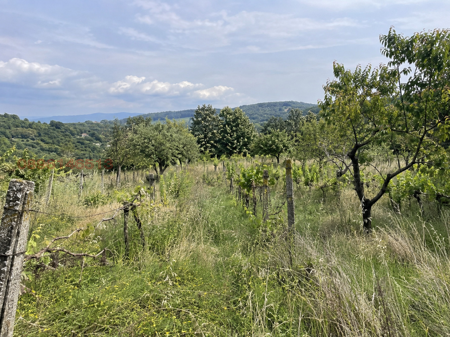 Продава ЗЕМЕДЕЛСКА ЗЕМЯ, с. Кукорево, област Ямбол