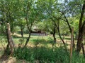 Продава КЪЩА, област Велико Търново, с. Палици • 27000 лв. • 88047838 — Holmes.bg