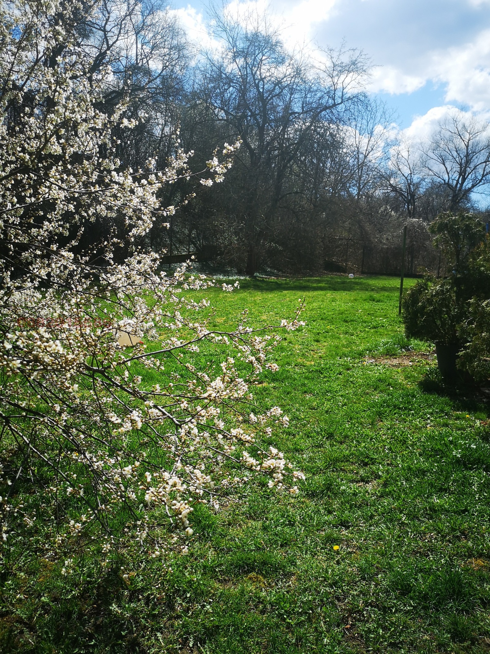 ������� ������ | Imot.bg � ����������� 3