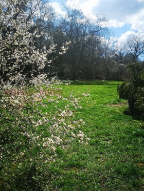 ������� ������ | Imot.bg � ����� ������ 3