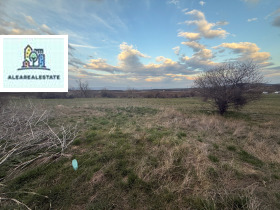 ����� ������� ������,�. ���������, ������ �����