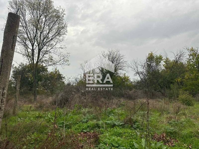 Продава КЪЩА, с. Дряново, област Хасково, снимка 13 - Къщи - 53945617