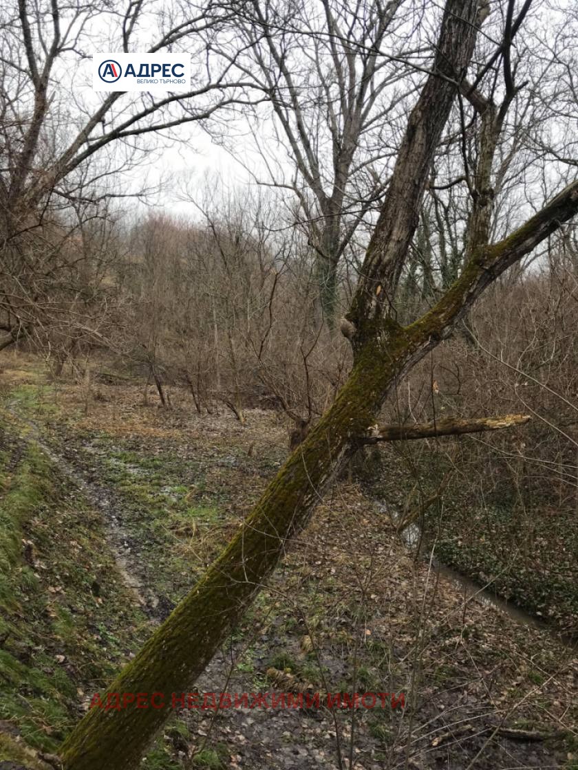 Продава КЪЩА, с. Джулюница, област Велико Търново, снимка 3 - Къщи - 53969448