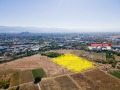 Продава ЗЕМЕДЕЛСКА ЗЕМЯ, гр. Пловдив, област Пловдив, снимка 2
