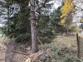 Продава ПАРЦЕЛ, област София, в.з.Ярема • 129999 € • 79470321 — Holmes.bg