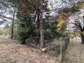 Продава ПАРЦЕЛ, област София, в.з.Ярема • 129999 € • 79470321 — Holmes.bg