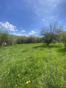 Cselekmény Krajmorie, Burgas