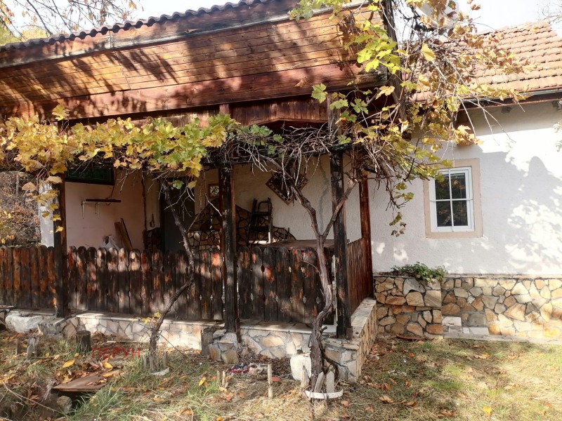 Продава КЪЩА, с. Брусник, област Перник