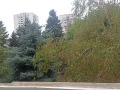 Продава 2-СТАЕН, град София, Лозенец • 315000 € • 53545077 — Holmes.bg