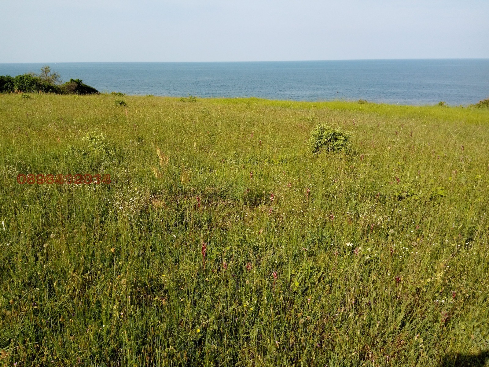 Продава ПАРЦЕЛ | Imot.bg — изображение 3