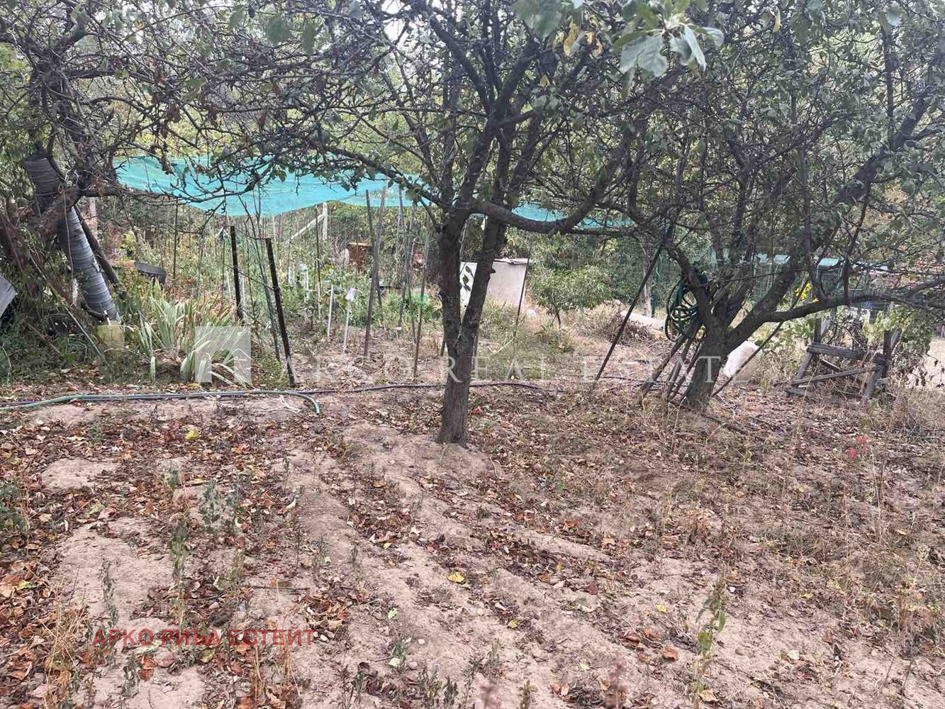 ������� ������ | Imot.bg � ����������� 6