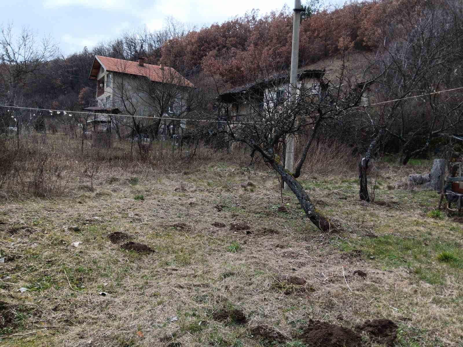 ������� ������ | Imot.bg � ����������� 8