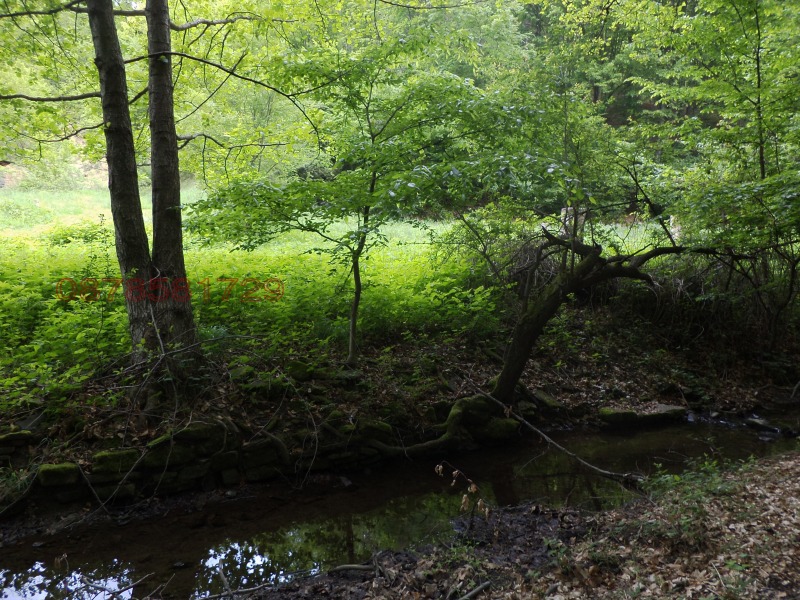 Продава КЪЩА, с. Бойновци, област Габрово, снимка 10 - Къщи - 52780138