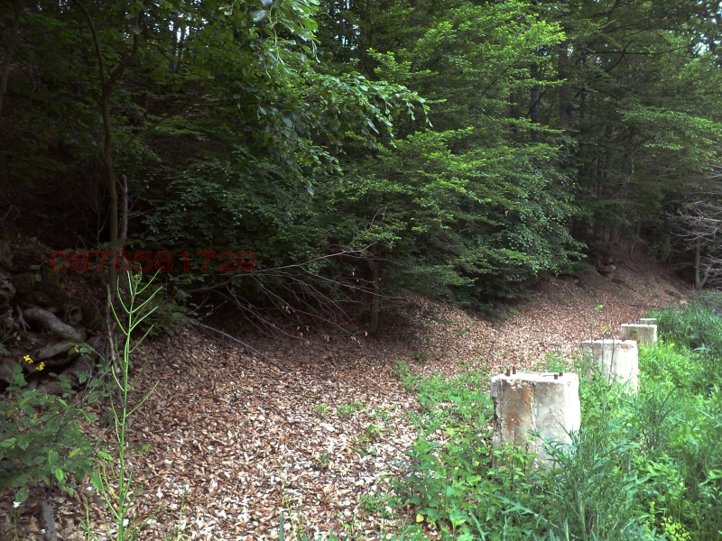 Продава КЪЩА, с. Бойновци, област Габрово, снимка 9 - Къщи - 52780138