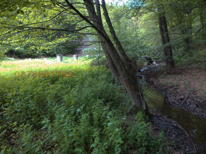 Продава КЪЩА, с. Бойновци, област Габрово, снимка 2 - Къщи - 52780138