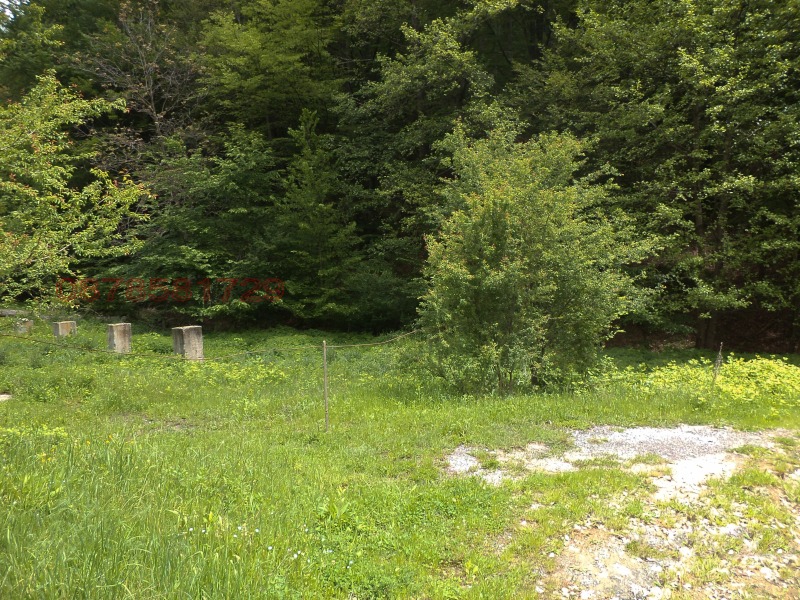 Продава КЪЩА, с. Бойновци, област Габрово, снимка 7 - Къщи - 52780138