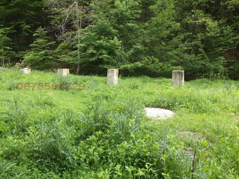 Продава КЪЩА, с. Бойновци, област Габрово, снимка 3 - Къщи - 52780138