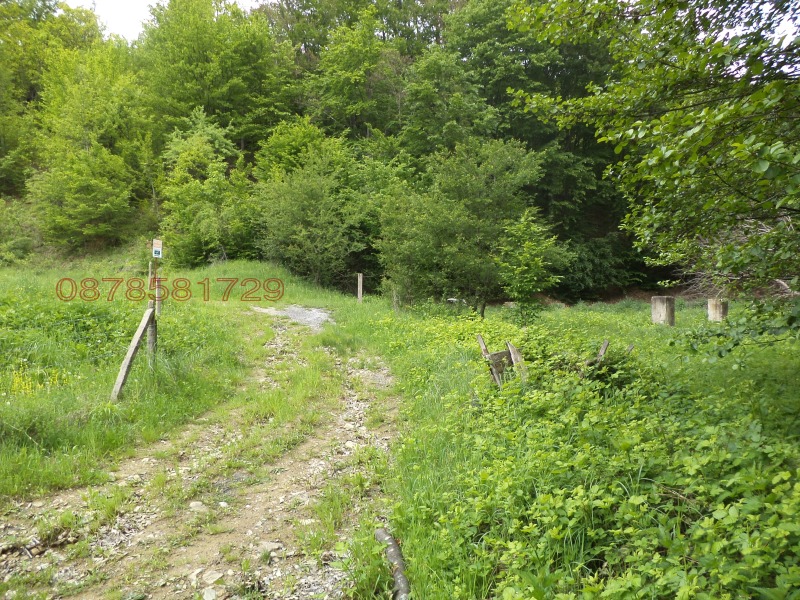 Продава КЪЩА, с. Бойновци, област Габрово, снимка 4 - Къщи - 52780138