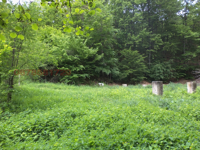 Продава КЪЩА, с. Бойновци, област Габрово, снимка 6 - Къщи - 52780138