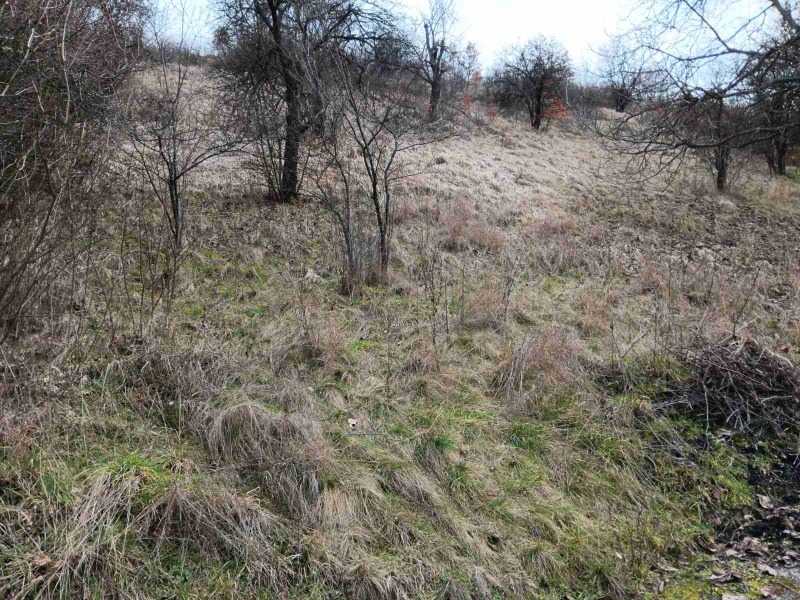 Продава ПАРЦЕЛ, гр. Перник, Бела вода, снимка 5 - Парцели - 53255556