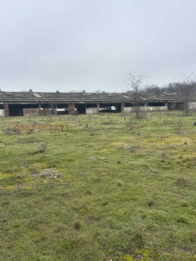 Продава БИЗНЕС ИМОТ, с. Черна, област Добрич, снимка 4 - Други - 53454856