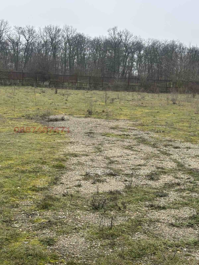 Продава БИЗНЕС ИМОТ, с. Черна, област Добрич, снимка 3 - Други - 53454856