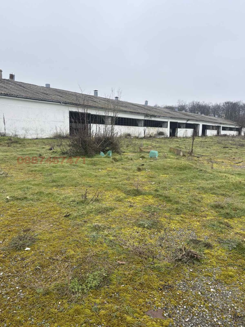 Продава БИЗНЕС ИМОТ, с. Черна, област Добрич