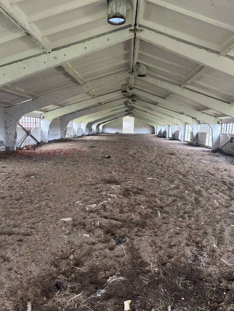 Продава БИЗНЕС ИМОТ, с. Черна, област Добрич, снимка 2 - Други - 53454856