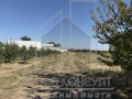 Продава ПАРЦЕЛ, с. Брестник, област Пловдив, снимка 2