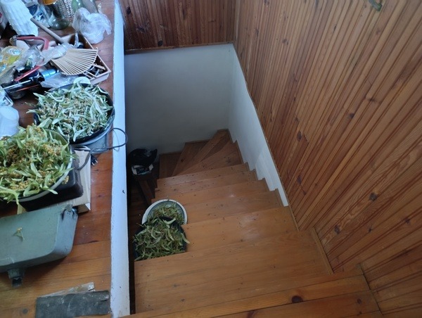 ������� ���� | Imot.bg � ����������� 10