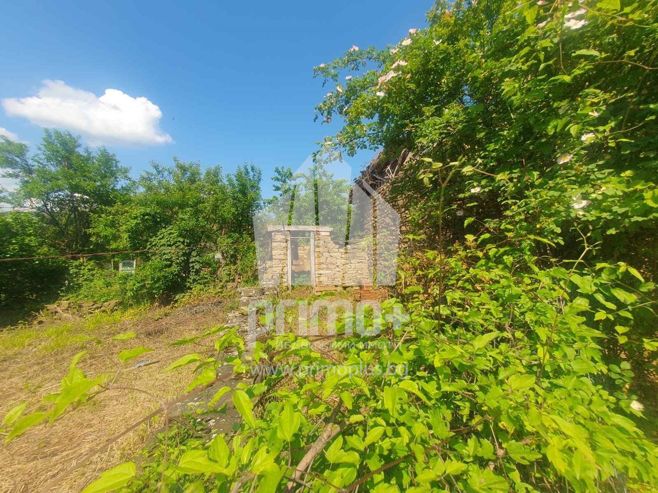 ������� ���� | Imot.bg � ����������� 17