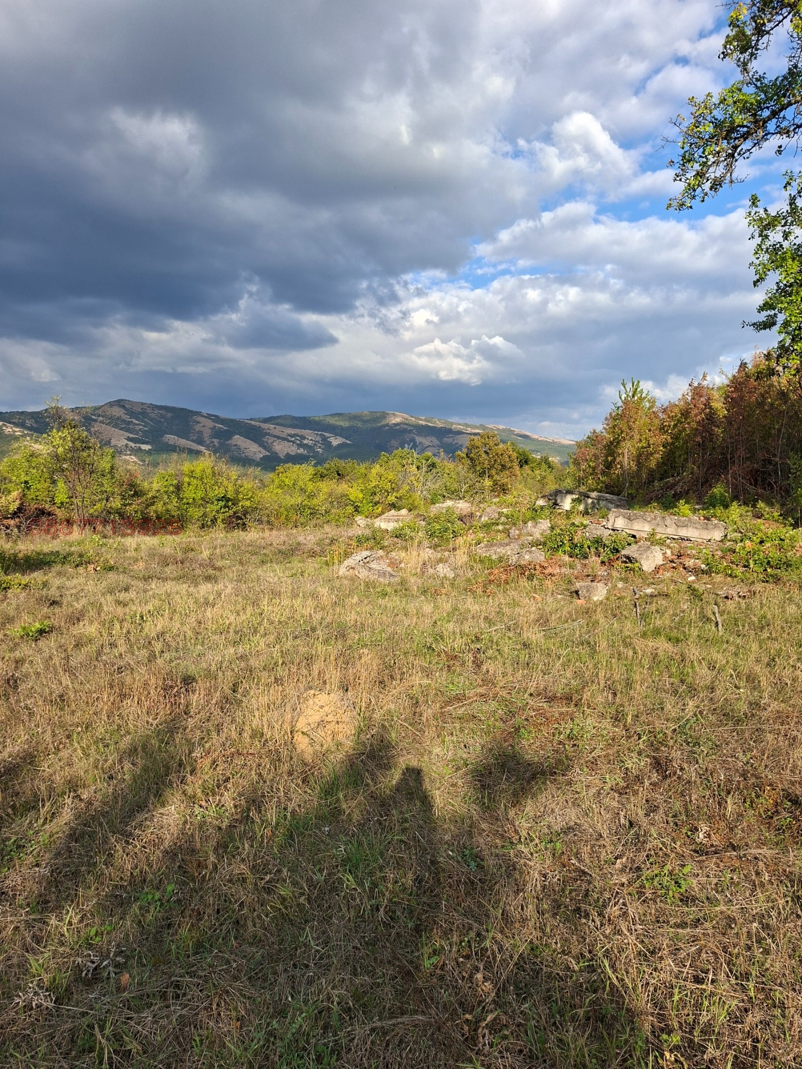 ������� ������ | Imot.bg � ����������� 14