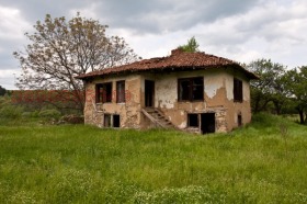 ������ ������� ����