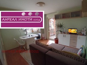 ������ ������� ����