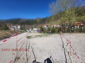 Plot Chiflik, region Lovech 2