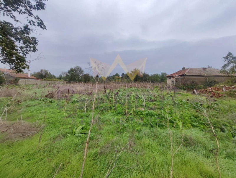 For Sale  Plot region Dobrich , Tsarichino , 2500 sq.m | 12842801