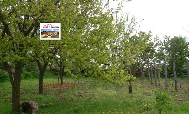 Продается  Дом область Добрич , Ведрина , 80 кв.м | 86748494 - изображение [6]