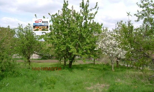 Продается  Дом область Добрич , Ведрина , 80 кв.м | 86748494 - изображение [5]