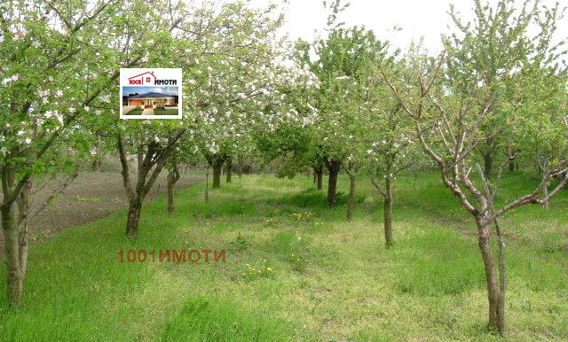 Продается  Дом область Добрич , Ведрина , 80 кв.м | 86748494